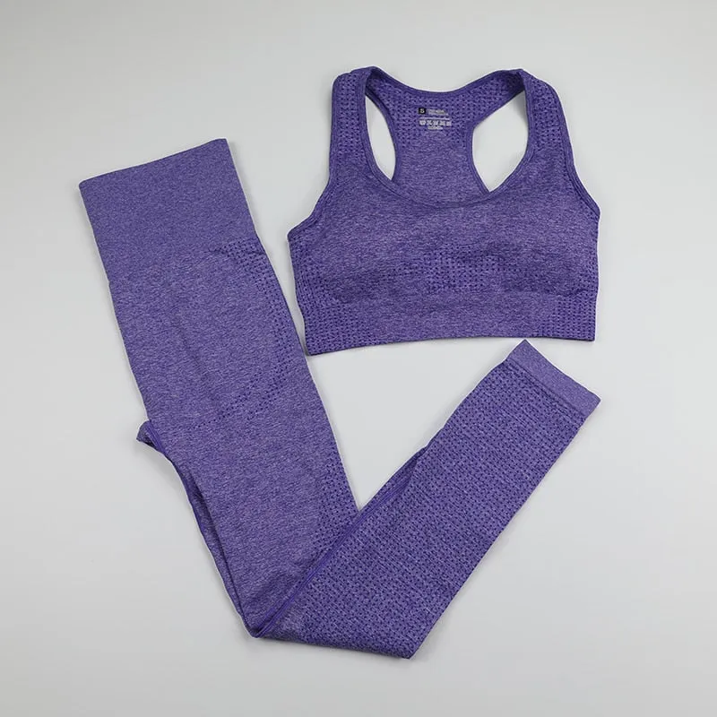 12 Colors Ombre Seamless Yoga Set with Long Sleeve Shirt