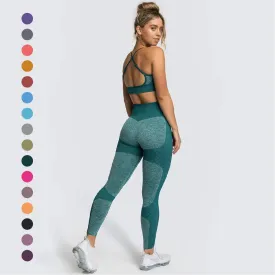 Seamless Sports Bra and High Waist Leggings Set for Women - Gym, Fitness, Running, Yoga (2 Piece Set)